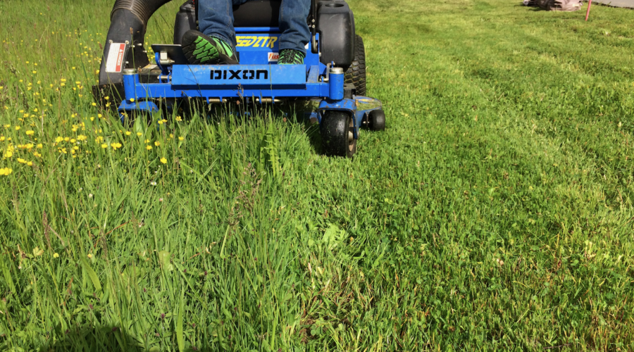 Umgebungspflege_Paul_Hegglin_GmbH_Hausmanager.ch